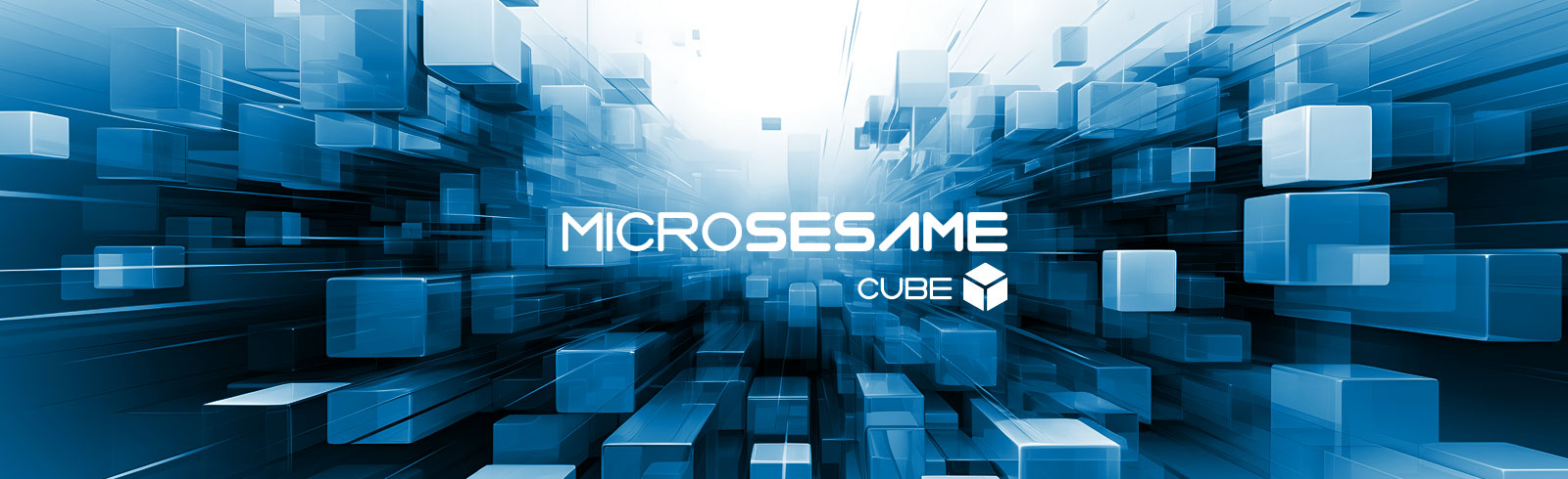 Interface MicroSesame supervision TIL